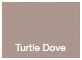 POLYPROPYLENE SHELL - TURTLE DOVE