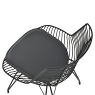 Picture of Tiger Dining Chair