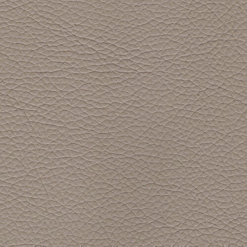 PPM BONE (2403-12) [+$92.00]
